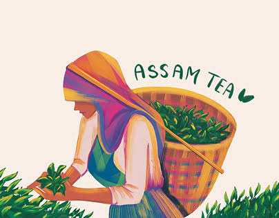 Tisane Assam Tea 500gm