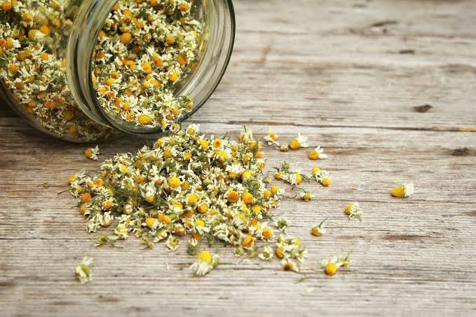 Tisane Fresh Chamomile Flower Infusion